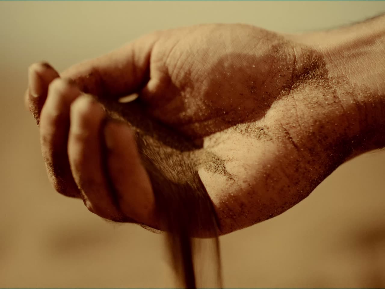 Muscat Art 2025 promotional film